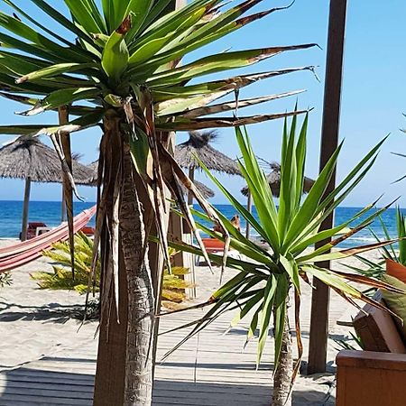 Beau Studio A 1 Minute De La Plage Canet-en-Roussillon Exterior foto